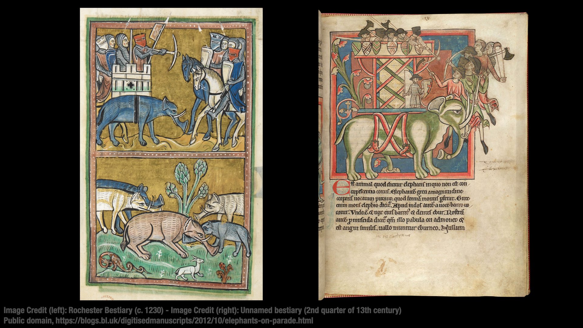Two pictures of medieval manuscripts features drawings of elephants. The elephants are oddly proportioned, with flaring trunks, boar-like tusks, hairy bodies, and (in some cases) no knees. A few of the elephants have castle turrets on their backs, with knights standing within.