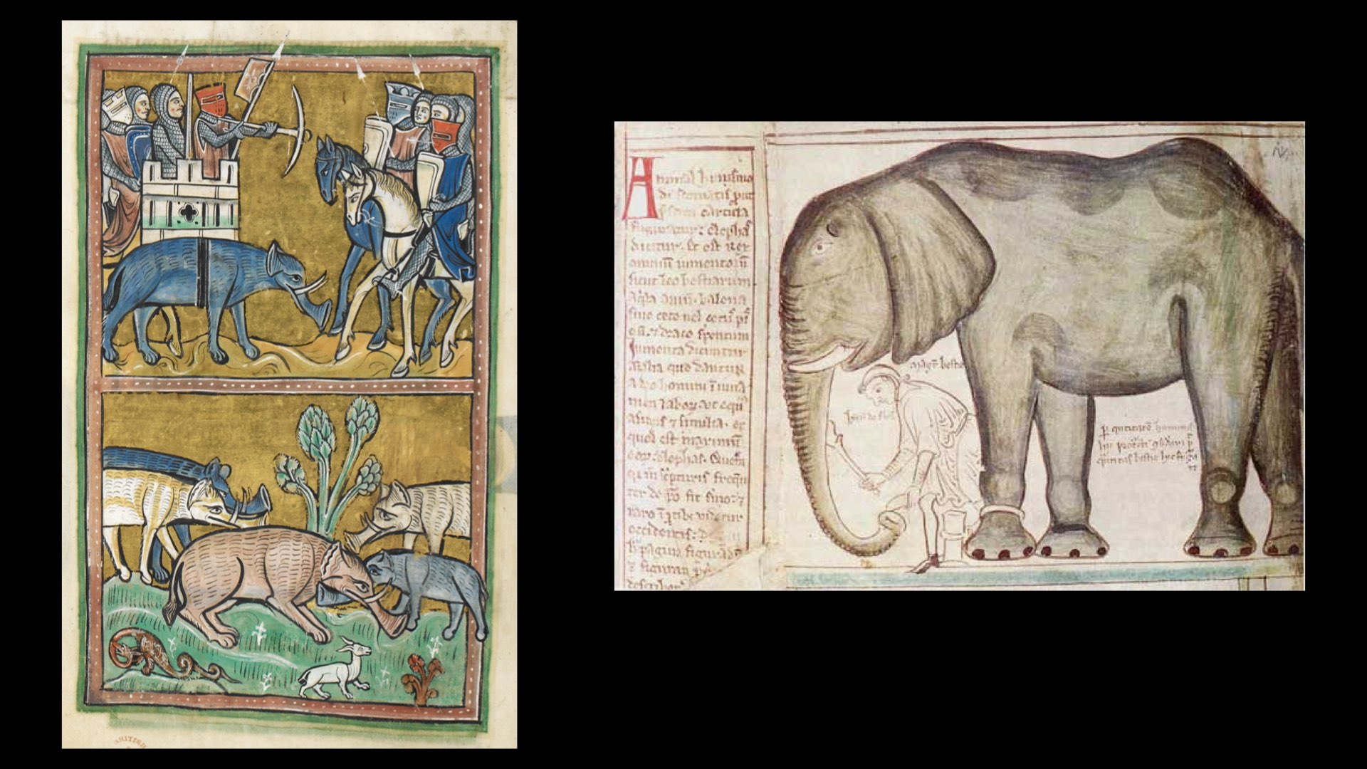 A side-by-side comparison of the two styles of elephants.